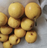 樱慕晴【JD地标认证】正宗辽宁鞍山南果梨东北特产南国梨香水梨新鲜水果 净重5斤【普装小果黄梨】约40枚 实拍图