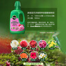美乐棵 喜酸营养液山茶花杜鹃茉莉盆栽花肥肥料园艺浓缩植物营养液500ML 实拍图
