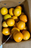 玖原农珍 赣南脐橙当季现摘橙子净重9斤优选果单果150-220g 新鲜水果礼盒 实拍图