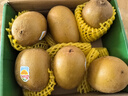 佳沛（zespri）新西兰阳光金果6个装巨大果单果144-175g水果猕猴桃源头直发 实拍图