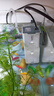 森森 小鲤鱼缸过滤器净水循环三合一内置水族箱过滤系统XQP-500F 6W 实拍图