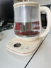 小熊（Bear）养生壶 1.5L煮茶壶煮茶器 玻璃花茶壶 316不锈钢恒温水壶烧水壶电热水壶 YSH-E15M1 实拍图