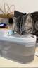 CATLINK智能宠物无线饮水机 滤芯自动过滤猫咪喝水机 实拍图