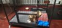 华美龙 狗笼子小型犬中型犬带厕所泰迪柯基比熊柴犬宠物狗窝室内狗围栏 【加粗方管】95*65*85（60斤内） 实拍图
