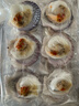 獐子岛 冷冻蒜蓉粉丝扇贝 净重600g 18只 烧烤食材 生鲜 海鲜水产  实拍图