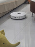 石头（roborock）扫地机器人扫拖一体 P20 扫拖洗烘一体机 自动集尘烘干补水擦地拖地洗地机吸尘器 A1690RR 实拍图