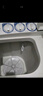 美的（Midea）半自动双桶洗衣机 8公斤洗+5.5脱水双缸波轮 老人简易操作 品质电机小巧不占地 租房宿舍必备 二级 MP8DS136 实拍图