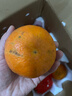 泰汇吃四川爱媛38号果冻橙 新鲜当季水果柑橘桔子时令 整4.5-5斤商超品质70-90MM净4斤 实拍图