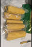 十月稻田 黑糯玉米 3.52斤(220g*8根) 东北甜黏玉米棒 早餐苞米 低脂代餐 实拍图
