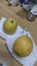 京鲜生 新疆库尔勒香梨 净重4.5斤单果100g+ 生鲜水果 源头直发  包邮 实拍图