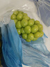 阳光葡萄青提晴王无籽葡萄新鲜水果爆甜 带箱5斤（单果15g+）净重4-4.5斤 实拍图