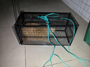 鼠道难捕猫笼猫咪诱捕笼诱捕器捉猫神器抓猫笼子全自动捕野猫抓捕笼1个 实拍图