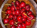 沐小七果蔬 智利进口车厘子樱桃礼盒装【JD速运-可送货上门】大樱桃送礼水果 5斤(净重) 【高端礼盒-保温箱】 巨无霸果王 4JJJJ 32-34mm 实拍图