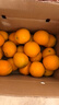 土八鲜江西橙子赣南脐橙新鲜水果赣州脐橙手剥甜橙礼盒 奋进橙9-10斤【果径70-79mm】 实拍图