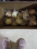港荣蒸蛋糕纯鸡蛋原味900g早餐面包零食西式糕点纯蛋糕甜品礼品盒物箱 实拍图