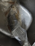 黄小渔宁德三去黄花鱼800g/条 大黄鱼生鲜 鱼类海鱼 海鲜水产 实拍图