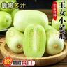 【瘦身减脂必备】玉女水果黄瓜新鲜蔬菜减肥早餐超市品质生吃 玉女黄瓜新鲜脆嫩  4斤 净重 实拍图