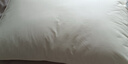 霞珍酒店枕头全棉羽毛枕 柔软鹅毛枕芯 单只装48*74 实拍图
