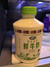 青海湖 鲜牛奶500ml 巴氏杀菌 早餐 营养 实拍图