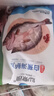 仙泉湖三去白蕉海鲈鱼1斤/条净膛冷冻刺少肉厚珠海特产500g生鲜食材 实拍图
