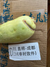 京鲜生 云南羊角蜜甜瓜 净重4.5-5斤 单果300g+ 源头直发包邮 实拍图