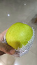 京地达梨砀山翠玉梨香梨梨子新鲜水果净重4.8斤单果250g+源头直发包邮 实拍图
