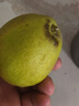 京鲜生 新疆库尔勒香梨 净重10斤 特级 单果120g以上 生鲜水果 实拍图