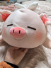 名创优品（MINISO）小猪B-BO翅膀款趴毛绒公仔玩具玩偶抱枕娃娃送女友儿童生日礼物 实拍图
