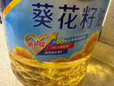 多力 【张若昀同款】葵花籽油6.18L食用油 物理压榨 热门商品 实拍图