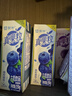 蒙牛真果粒蓝莓味牛奶饮品250g*12盒  小黄鸭IP 送礼盒装新老包装 实拍图