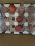 南步陕西红啤梨 红皮梨太婆梨红宝石啤梨彩虹梨子火把啤酒梨新鲜水果 3斤 中大果【单果110g+】 实拍图