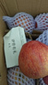 正宗粉面苹果新鲜应季水果老树秦冠红星老人宝宝粉面刮泥香蕉苹果 净重8.5斤【大果】 实拍图