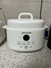 九阳（Joyoung）电炖盅 电炖锅 隔水炖煮 家用煮粥煲汤锅燕窝炖盅4.5L白瓷内胆炖汤锅上蒸下炖DG25G-GD188 实拍图