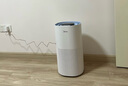 美的（Midea）小蓝鲸800无雾空气加湿器家用卧室孕妇母婴幼儿取暖抗菌办公室小型雾化器礼物补贴SZK-1Y80 实拍图