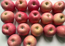 京鲜生山东烟台红富士苹果 净重9斤 单果75-80mm生鲜水果 源头直发 包邮 实拍图