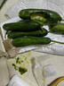 山东寿光水果黄瓜生吃脆新鲜荷兰青瓜当季无刺小黄瓜源头直发 精品水果黄瓜 3斤 实拍图
