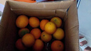 京鲜生 东江湖蜜橘 5斤 单果50g起 橘子/桔子  生鲜水果礼盒 实拍图