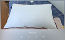 水星家纺枕头枕芯酒店枕头护颈枕头芯家用单个纯棉抗菌可水洗中枕48x74cm 实拍图