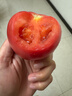 京鲜生陕西沙瓤西红柿 净重4.5斤 单果100g+ 沙瓤番茄源头直发  实拍图