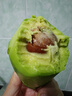 鲜级佳秘鲁进口牛油果鳄梨新鲜水果微催熟爽滑细腻宝宝辅食单果水果当季 品质超值款 100-140g 【6个装】 实拍图
