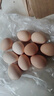 大码鸡蛋50g正负5g/枚散养土鸡蛋新鲜鸡蛋溏心蛋早餐必备京东包邮 10枚土鸡蛋50g 实拍图