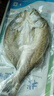仙泉湖三去白蕉海鲈鱼1斤/条净膛冷冻刺少肉厚珠海特产500g生鲜食材 实拍图