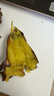京鲜生精品榴莲蜜薯 4.5斤单果150g+ 红薯地瓜番薯蔬菜粗粮 源头直发 实拍图