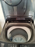 海尔（Haier）波轮洗衣机小型全自动8KG家用XQB80-Z10D0京东自营家电国家补贴以旧换新一级能效宿舍出租房单脱水 实拍图