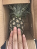 金钻凤梨手撕小凤梨新鲜热带水果生鲜水果金钻非菠萝源头直发 【1个】单果400-650g 实拍图