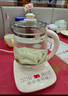 九阳（Joyoung）0胶水养生壶 1.5L煮茶器 玻璃花茶壶 316不锈钢烧水壶电热水壶 WY301 实拍图