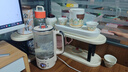 九阳（Joyoung）316L迷你养生杯养生壶煮茶器 0.6L办公室家用便携煮茶壶恒温烧水壶小型花茶壶K06D-WY530 实拍图