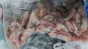 禧美海产加拿大熟冻北极甜虾1斤/袋 65-85只 (MSC认证) 海鲜水产 实拍图