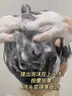 乐小菲洗发水金榜第1控油蓬松香味持久留香大牌正品洗发膏男女士洗发液 实拍图