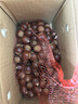 2025福建建瓯锥栗【顺丰配送到家—多地次日达】圆板栗毛栗子油栗 1500g 中果/果径2.1-2.3cm 实拍图